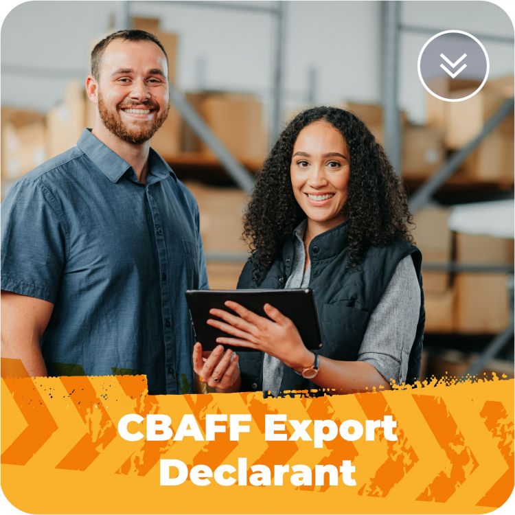 Export Declarant Training