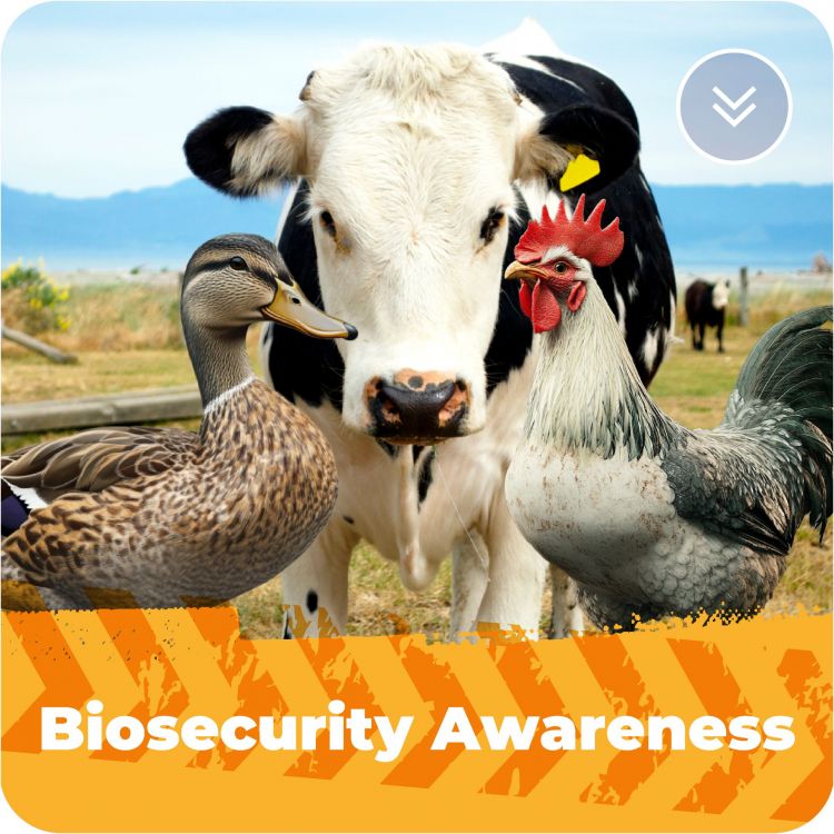 Biosecurity Awareness Training