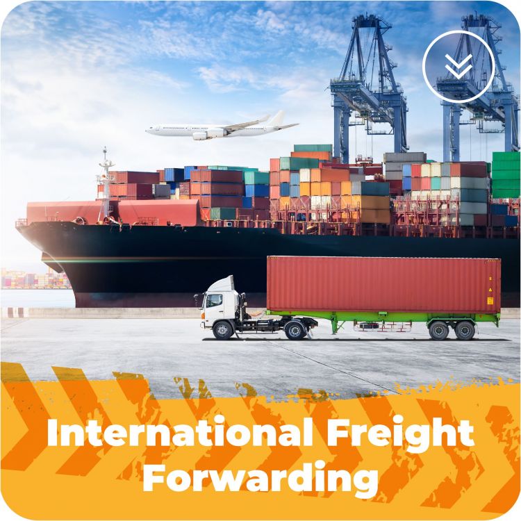 Freight Forwarding Training